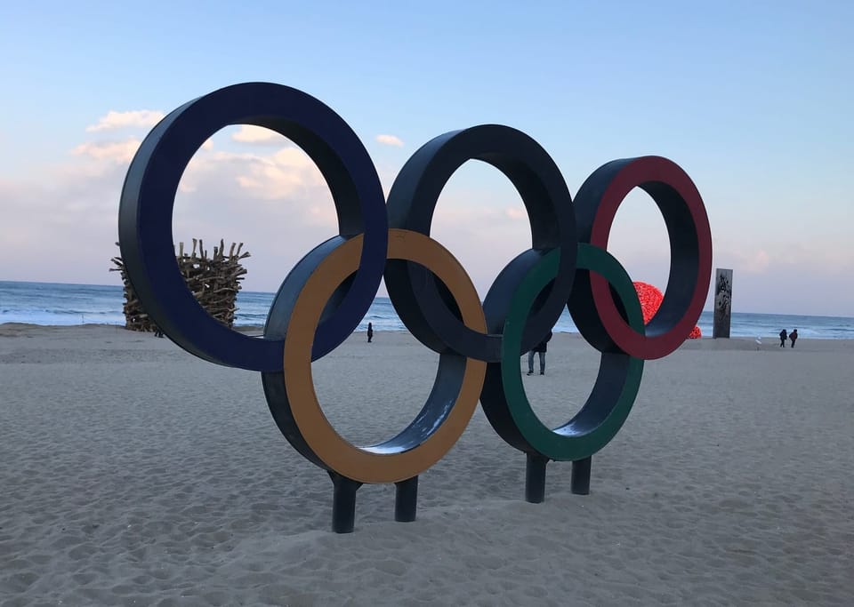 What happens when the dog catches the car does it just stop and wag its tail and everyone pats it on the head saying good job?